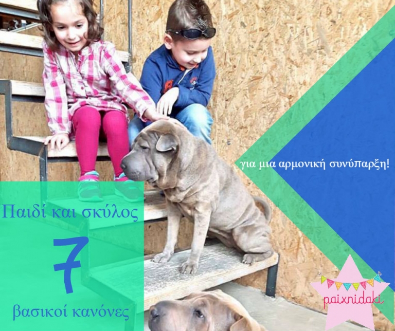 Παιδί και σκύλος, 7 κανόνες για μια αρμονική συνύπαρξη!
