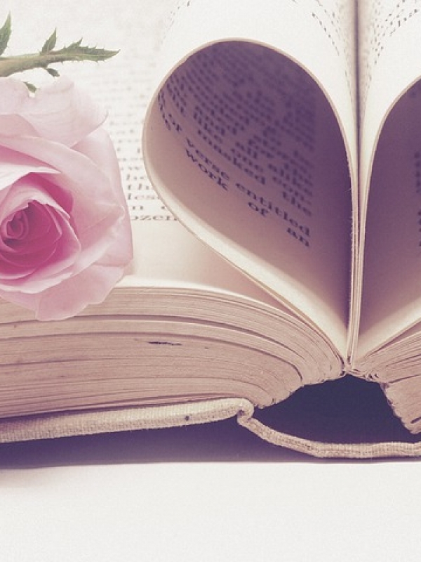 Ανακοινώθηκαν οι βραχείς κατάλογοι διαγωνισμών Ελληνικού Τμήματος της ΙΒΒΥ 2019