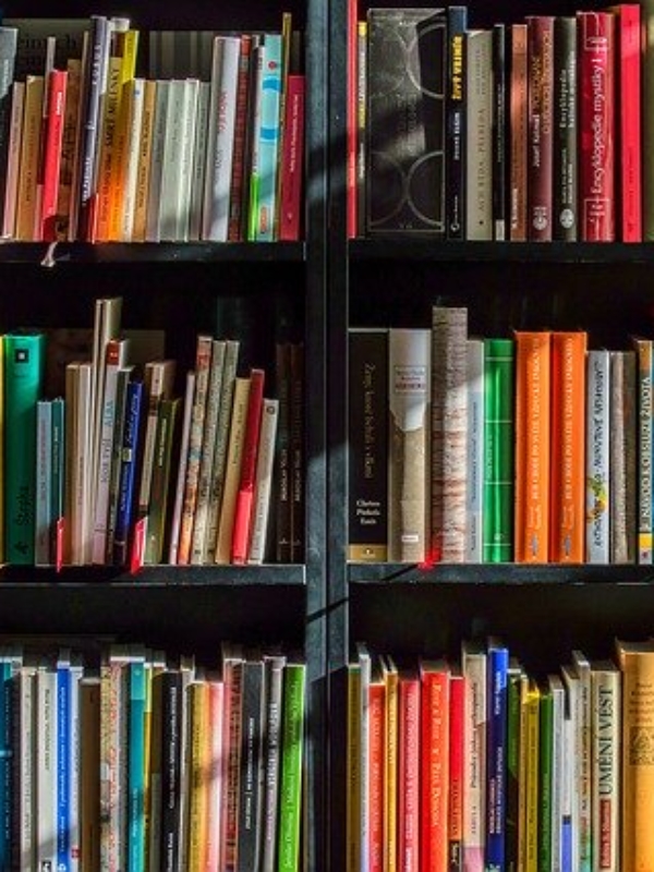 Τα 5 παιδικά βιβλία που κέρδισαν τα Κρατικά Βραβεία Βιβλίου της χρονιάς